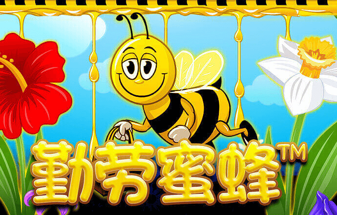 博鱼娱乐app